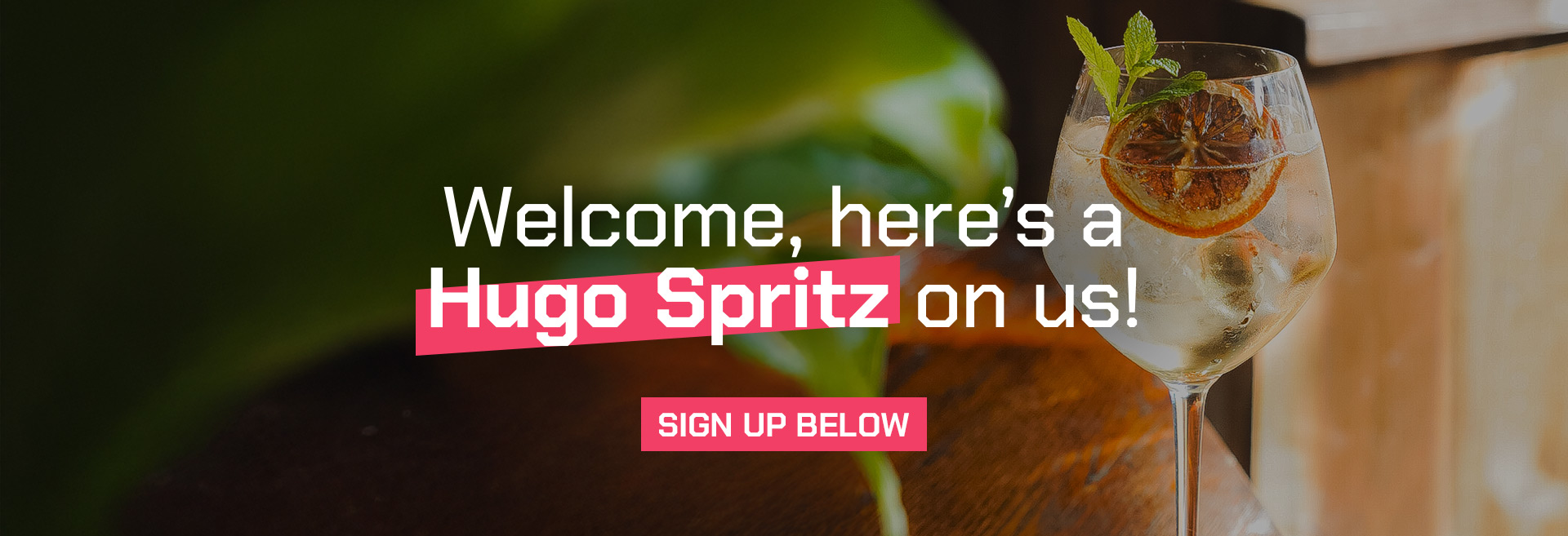 Sign up to the newsletter at One Trick Pony Club